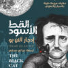 القط الأسود